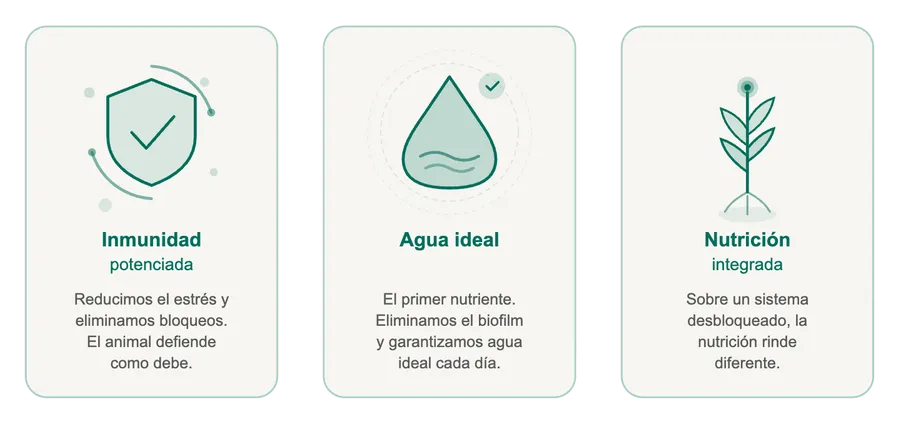 Los tres pilares de VERIDIA Farm: Inmunidad, Agua ideal y Nutrición integrada