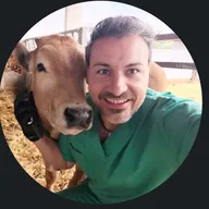 Mario Enguita Lozano